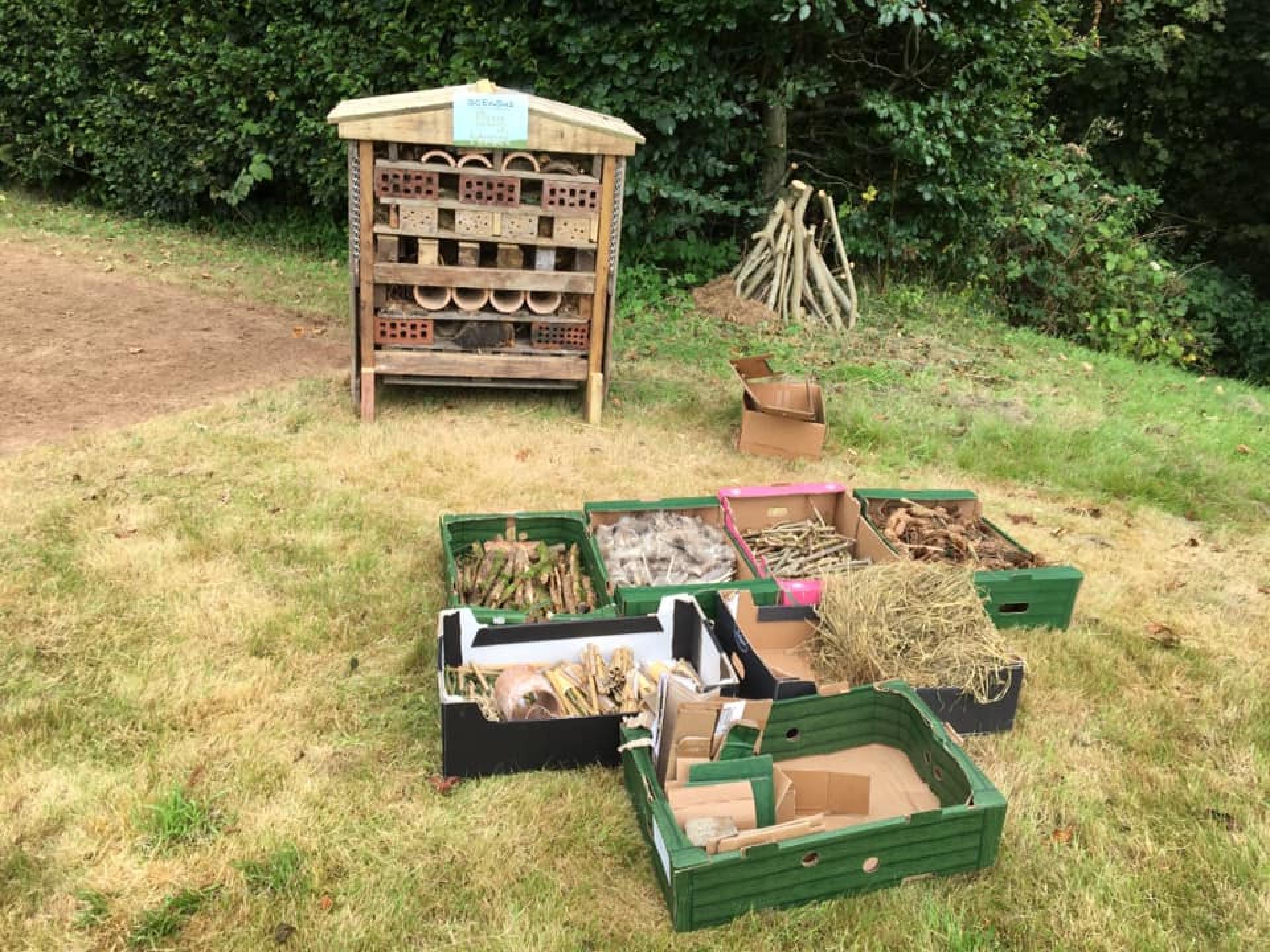 SC Bug Hotel